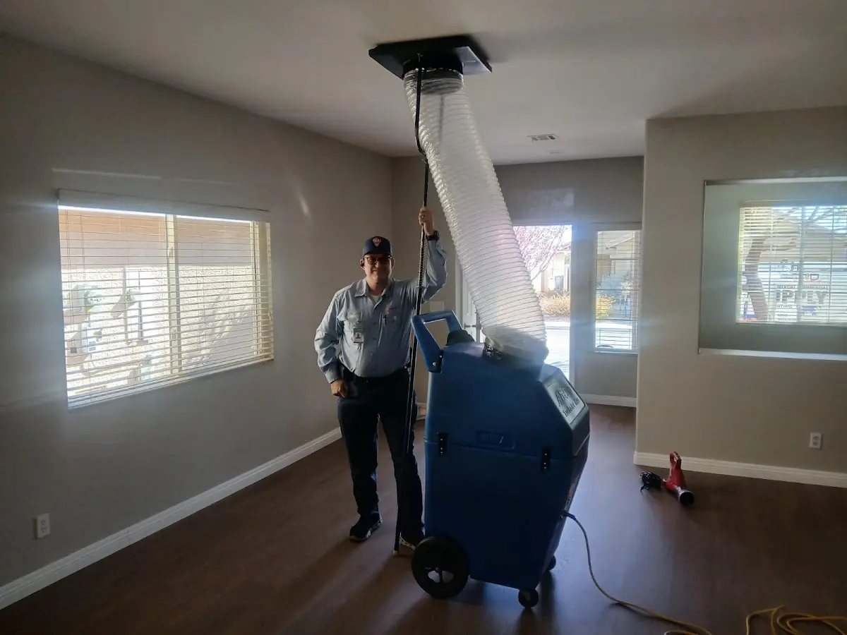 Professional Dryer Vent Cleaning work inside a Great Neck Plaza home